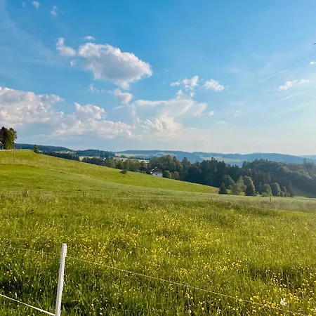 Gemuetliche 1½ Im Herzen Des Schwarzwalds